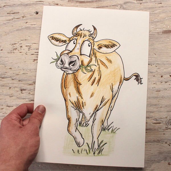 Three Breeds of Cattle | Set of Three Art Prints | 200gsm 100% Recycled Paper | A4 Portrait Framable - Image 5