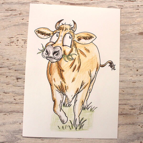 Three Breeds of Cattle | Set of Three Art Prints | 200gsm 100% Recycled Paper | A4 Portrait Framable - Image 2