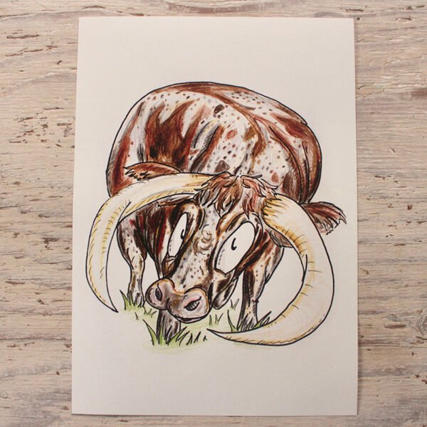 Three Breeds of Cattle | Set of Three Art Prints | 200gsm 100% Recycled Paper | A4 Portrait Framable - Image 3