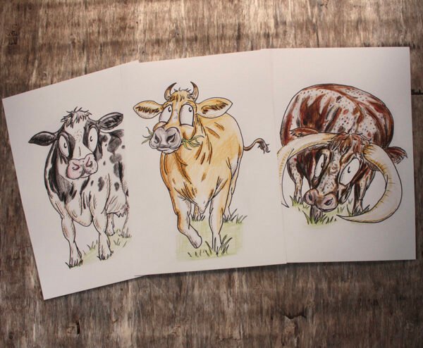 Three Breeds of Cattle | Set of Three Art Prints | 200gsm 100% Recycled Paper | A4 Portrait Framable