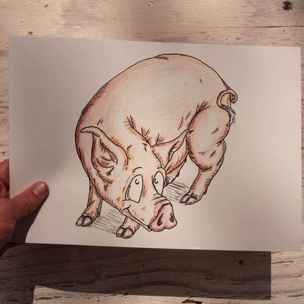 A Cartoon Print of a Welsh Pig